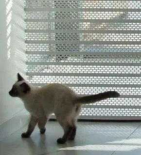 Защита от несанкционированного подъема